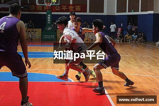 知道pa平台